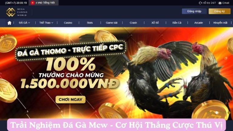 Sân chơi đá gà mcw có gì đặc biệt?